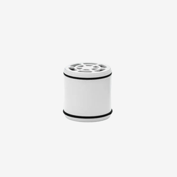 ShowerPro Rain Replacement cartridge